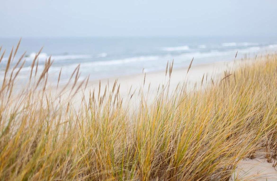Oase An Der Ostsee Mit 2 Schlafzimmern 海利根港 外观 照片